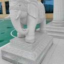 淮安 白麻花岗岩动物异形石雕-大象