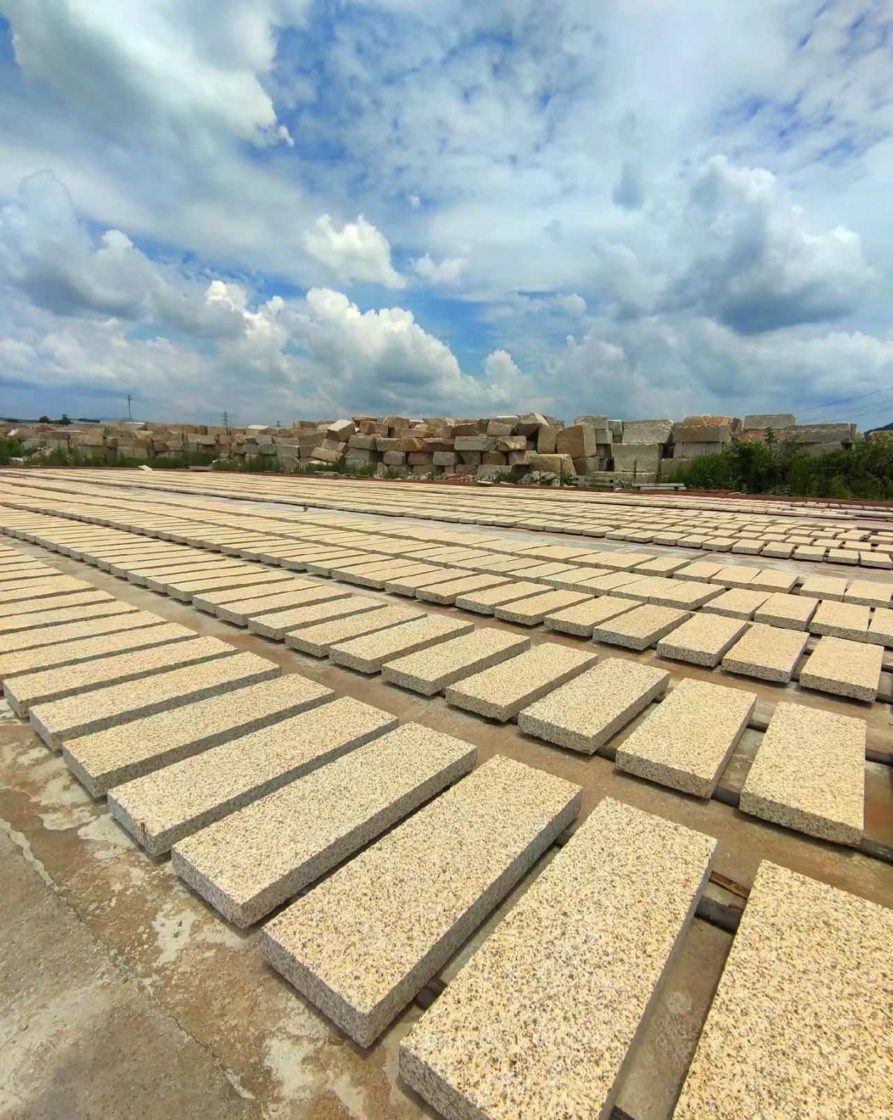 淮安 黄金麻花岗岩荔枝面地铺石防护中